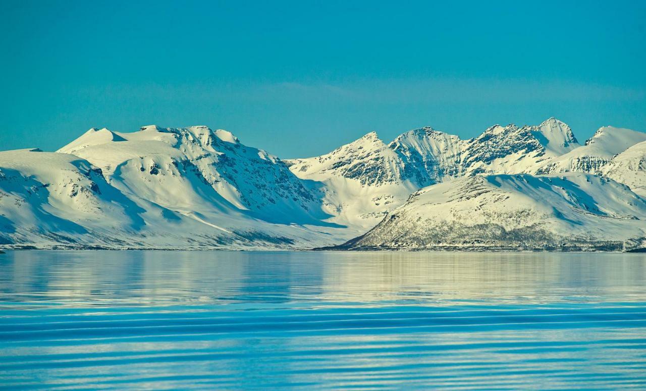 Lyngen Experience Apartments Nord-Lenangen Exteriér fotografie